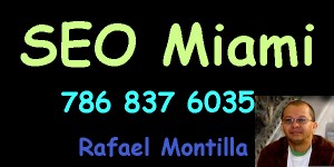 SEO Miami