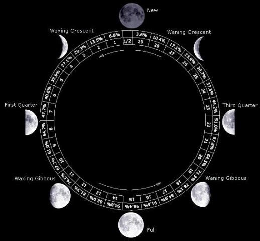 Reporte Lunar Semana del 14 al 20 de Noviembre