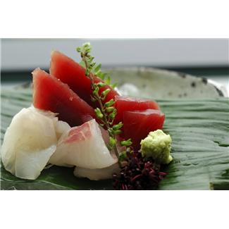 SUSHI LOVERS FELIPE DEL VALLE ESTILOS