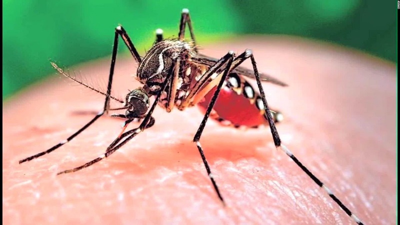 EL ZIKA Y EL SEXO COMO SE CONTAGIA