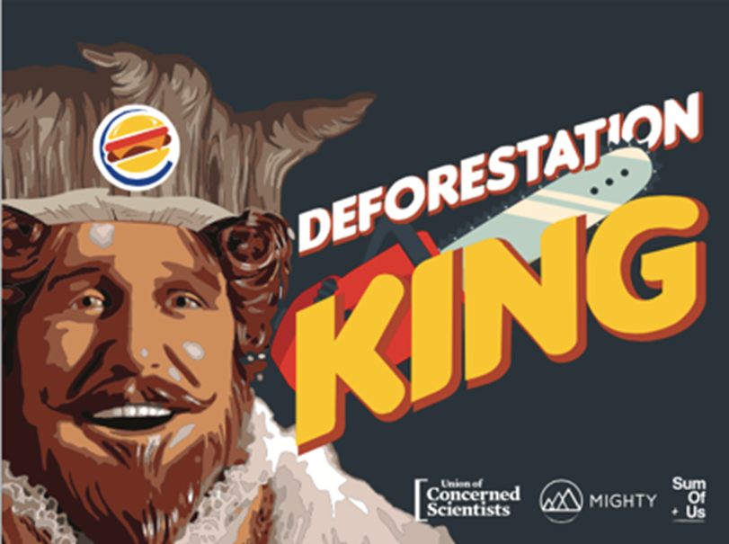 Burger King Deforestation Event