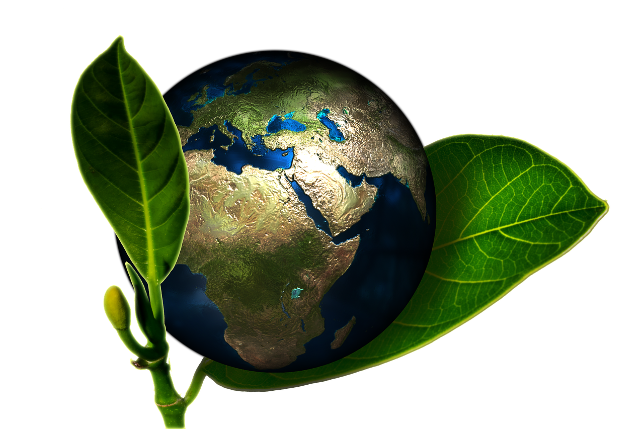 Cómo El Cambio Climático Afectará La Alimentación En El Planeta
