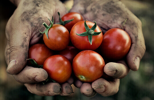 Great and delicious source of nutrients needed to fight off infection