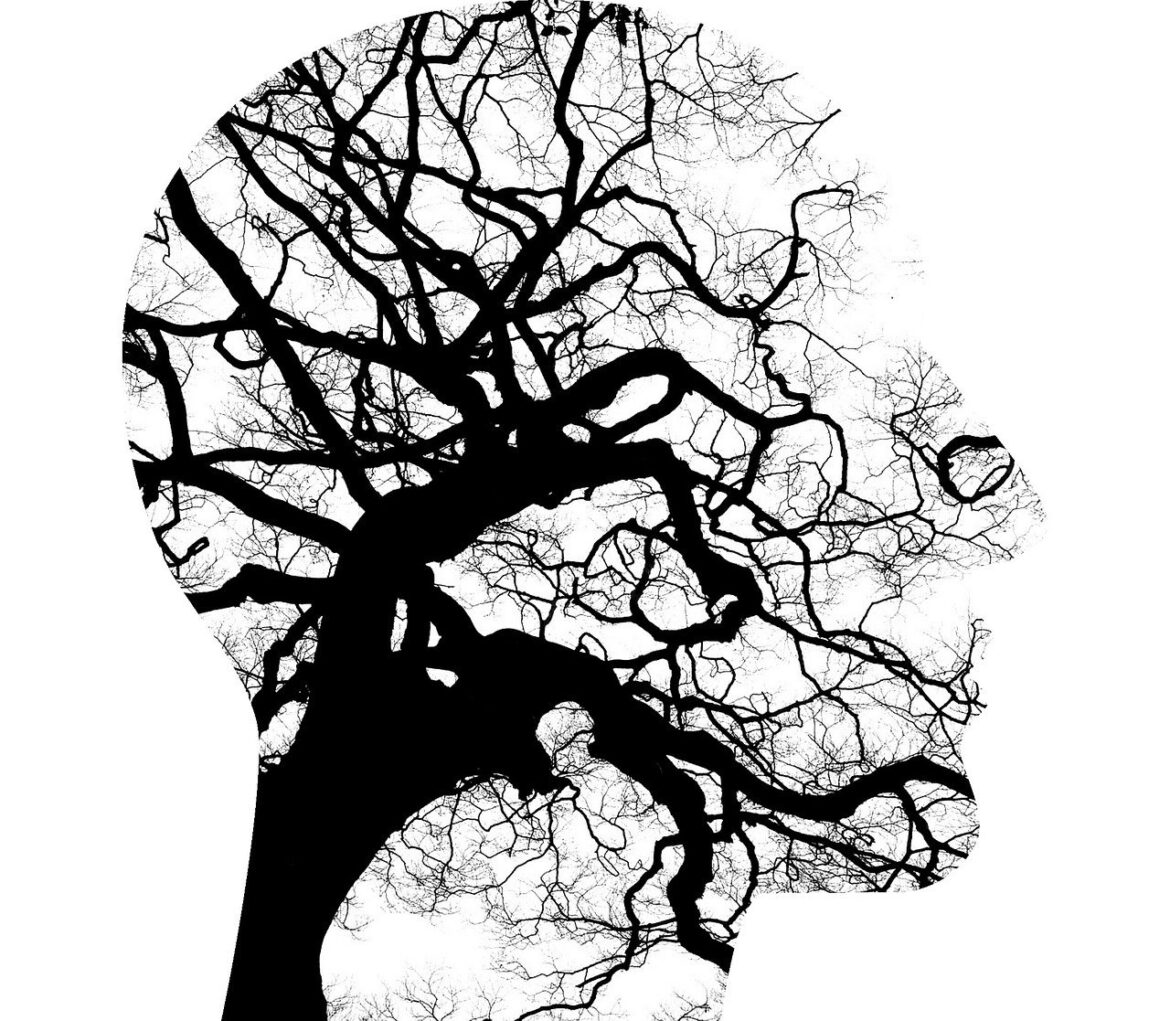 SALUD MENTAL EMEDIA