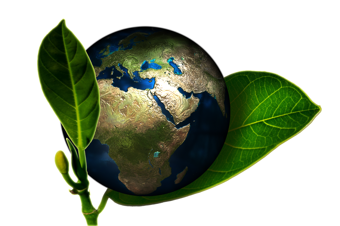 earth-EMEDIA