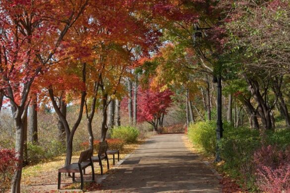Seoul’s Top 5 Attractions