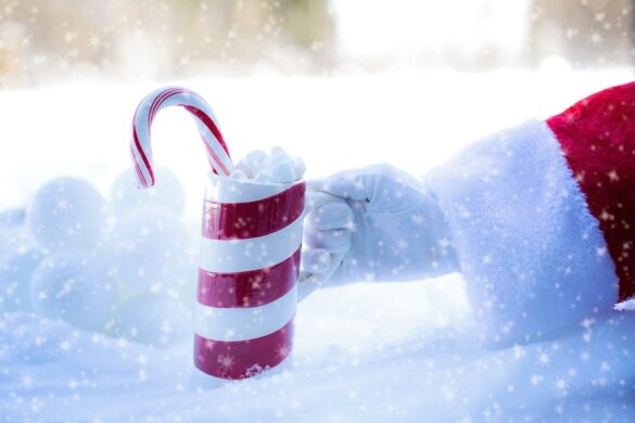 «The Disney Holiday Singalong»  November 30