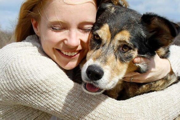 The Ultimate Guide To Pet Adoption