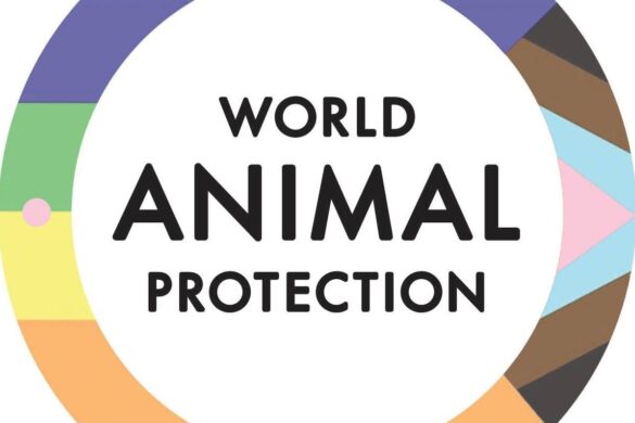 FL Urged To Dump Repticon Reptile Expo Over Risks Of Animal-Transmitted Diseases