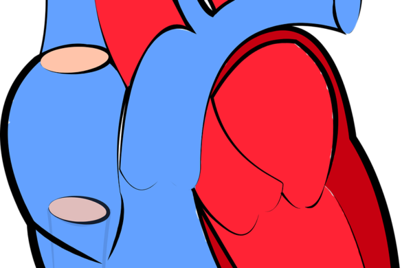 Organ Transplants in Peril as COVID-damaged Organs No Longer Viable