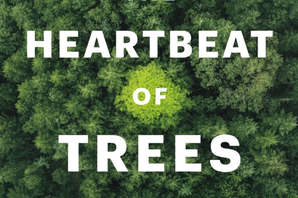 New Trailer «The Hidden Life Of Trees»