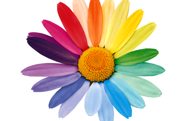 How To Support LGBTQ-Owned Small Businesses & Resources
