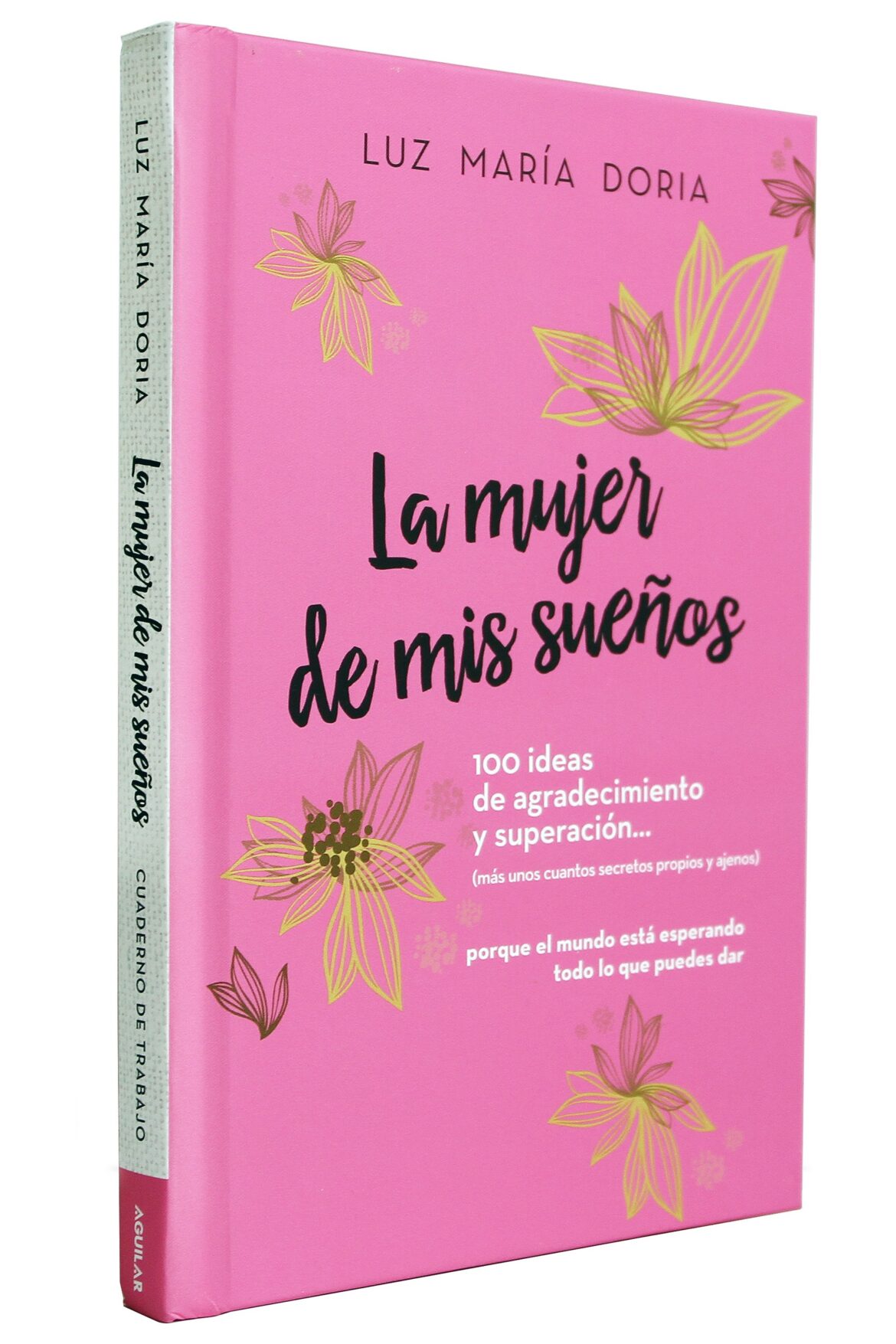 La mujer de mis sueños