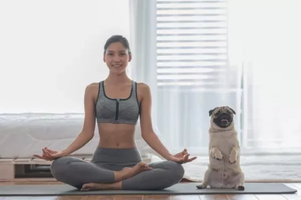 Dog Yoga The Latest Trend