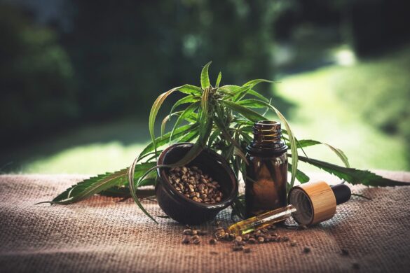 Survey Reveals 1 In 5 Medicare Recipients Use Medical Marijuana