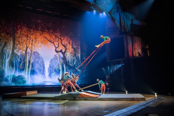 Florida Residents Special Offer For Cirque Du Soleil And Disney