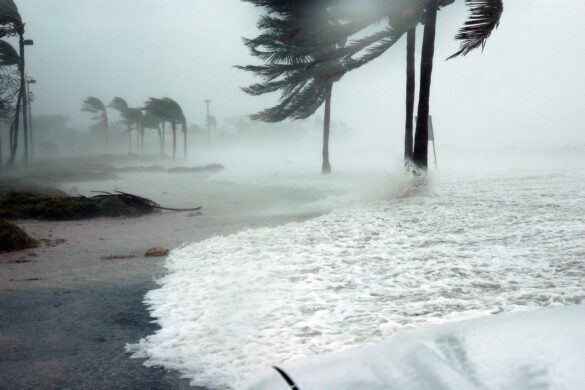 Lodging For Florida NICU Families Affected By Hurricane Ian