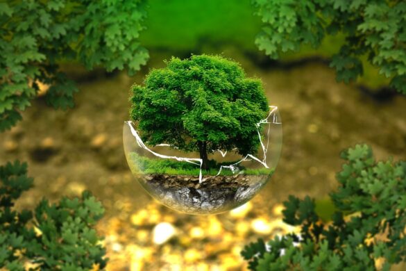 2023’s Cities With The Most Green Space