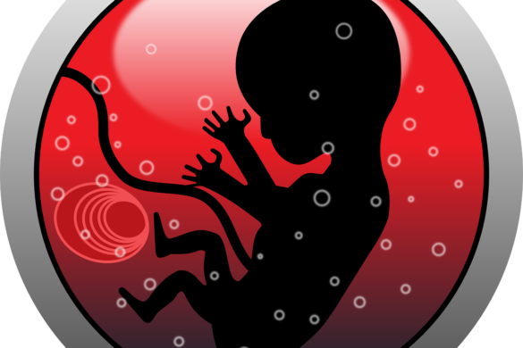 COVID-19 During Pregnancy May Increase Obesity Risk In Children