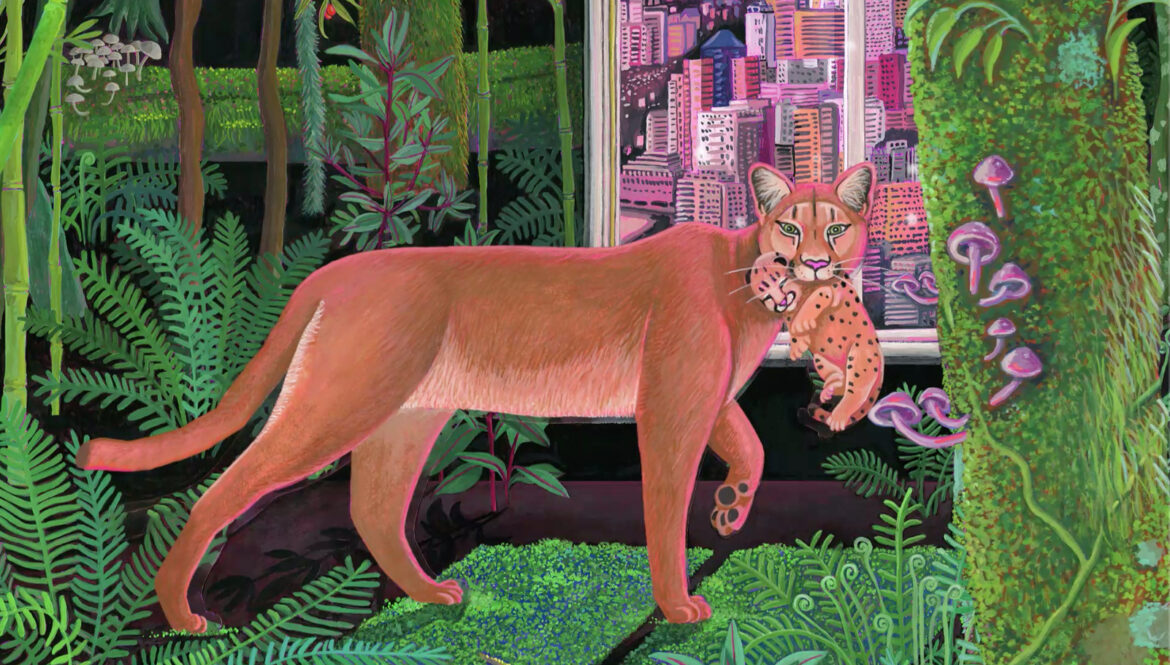 Festival de Cine Santiago Wild
