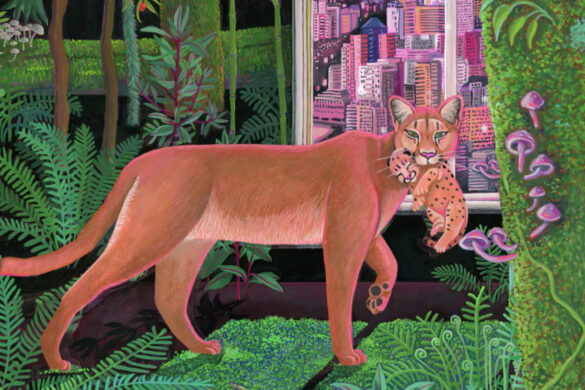 Cortometraje Venezolano Finalista Del Festival De Cine Santiago Wild 2023