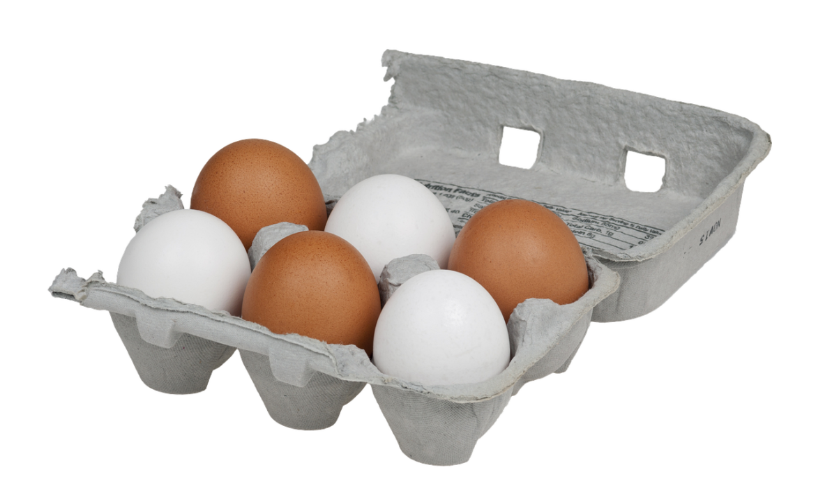 eggs