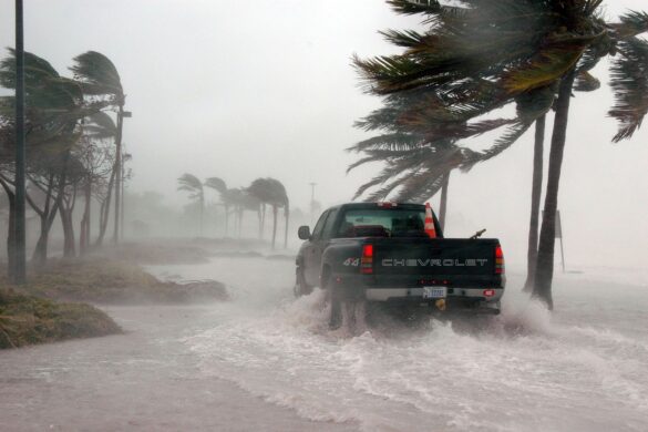 Tips To Help Residents Prepare For Tropical Storm Idalia