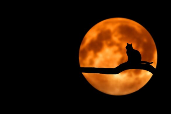 Expert Predicts The Most Popular Halloween Costumes Of The Year