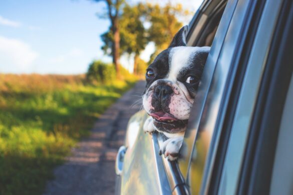 The Most Popular U.S. Road Trips According to TikTok