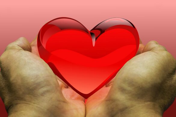 Best Charities For 2024