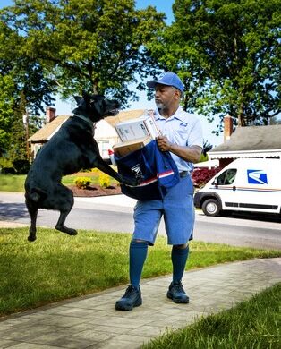 La Campaña Nacional De Sensibilización Sobre Mordidas De Perro Comienza El 2 De Junio