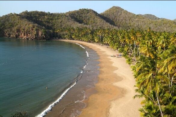 «Experiencia Paria» Turismo Venezolano De Altura