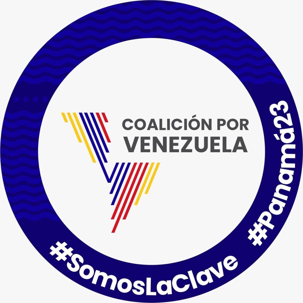 A los Estados miembros de la comunidad internacional a los organismos del Sistema de Derechos Humanos y otras instituciones defensoras de Derechos Humanos.