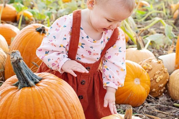 Get Ready For A Fantastic Fall At Mr. Jack O’ Lantern’s Pumpkin Patch In 2024