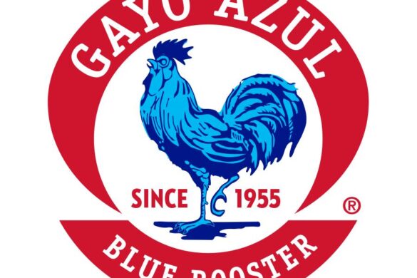 Estilos Recomienda: Los productos Gayo Azul®