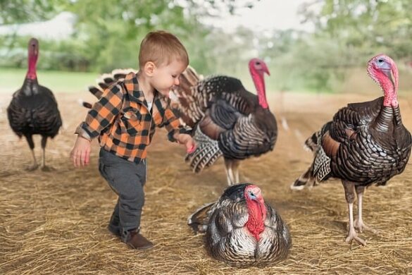 Stormy Thanksgiving And Holiday Weekend Travel Forecast
