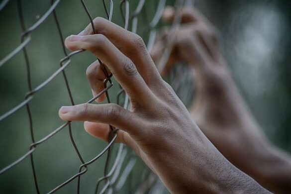 Guía Esencial Ante Las Amenazas De Deportación
