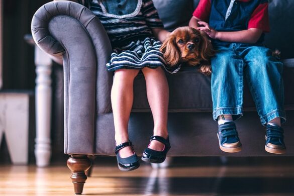 Asegura El Futuro De Tus Hijos Con Un Tutor Temporal