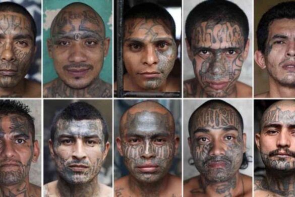 DHS Stands With The Victims Of Illegal Alien Crimes