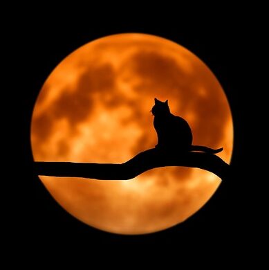 Halloween & Costume Association Celebrates 20 Years As The Voice Of The Halloween Industry