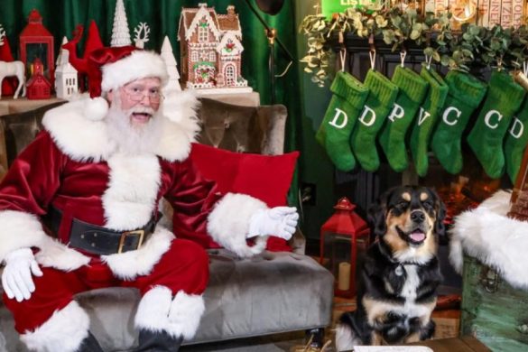 Westfield Century City Is Unwrapping Something Special This Holiday Season