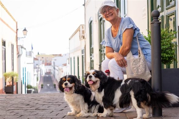 Moving To Portugal With Pets: Your 2026 Ultimate Guide
