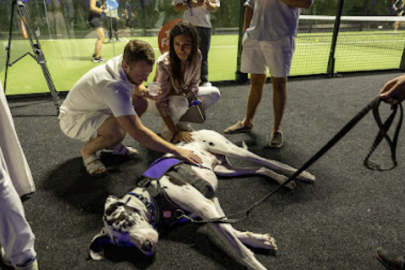 Padel For A Purpose Brilló En Miami