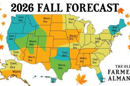 Fall 2026 Forecast And What It Signals For The United States